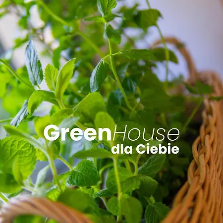 Vila House - Nad Jeziorem Z Pomostem Olštýn